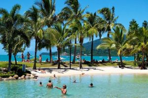 Airlie Beach Magnums - Accommodation Daintree